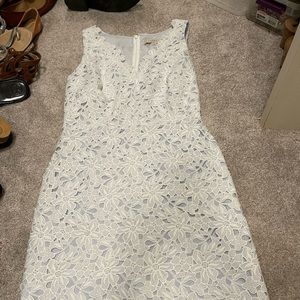 Loft lace dress